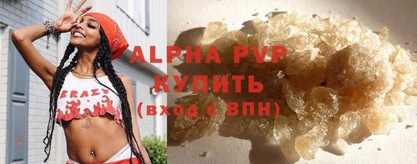 сатива Бронницы